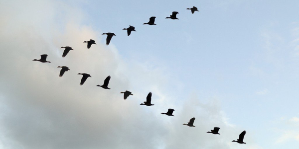 Migrating from HDFS to MinIO Enterprise Object Store