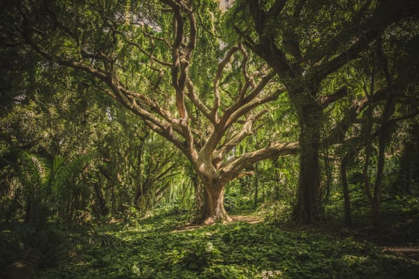 The Forest Amidst the Trees - The Takeaway from our AI Year
